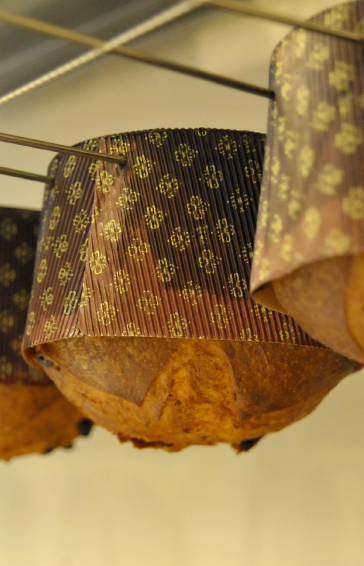 lievitazione naturale