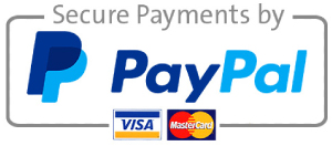 pay pal logo